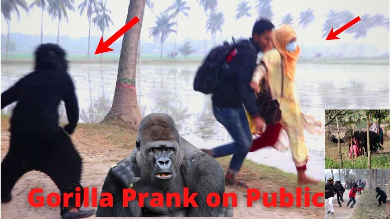 Fake Gorilla vs Dog Prank