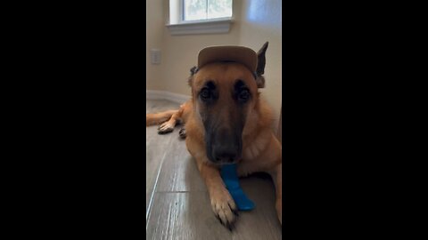 GsD funny jokes 🤣🤣