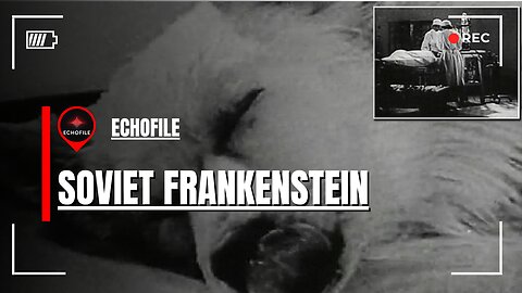 The Soviet Experiment That Kept a Dog’s Head Alive – The Shocking Truth