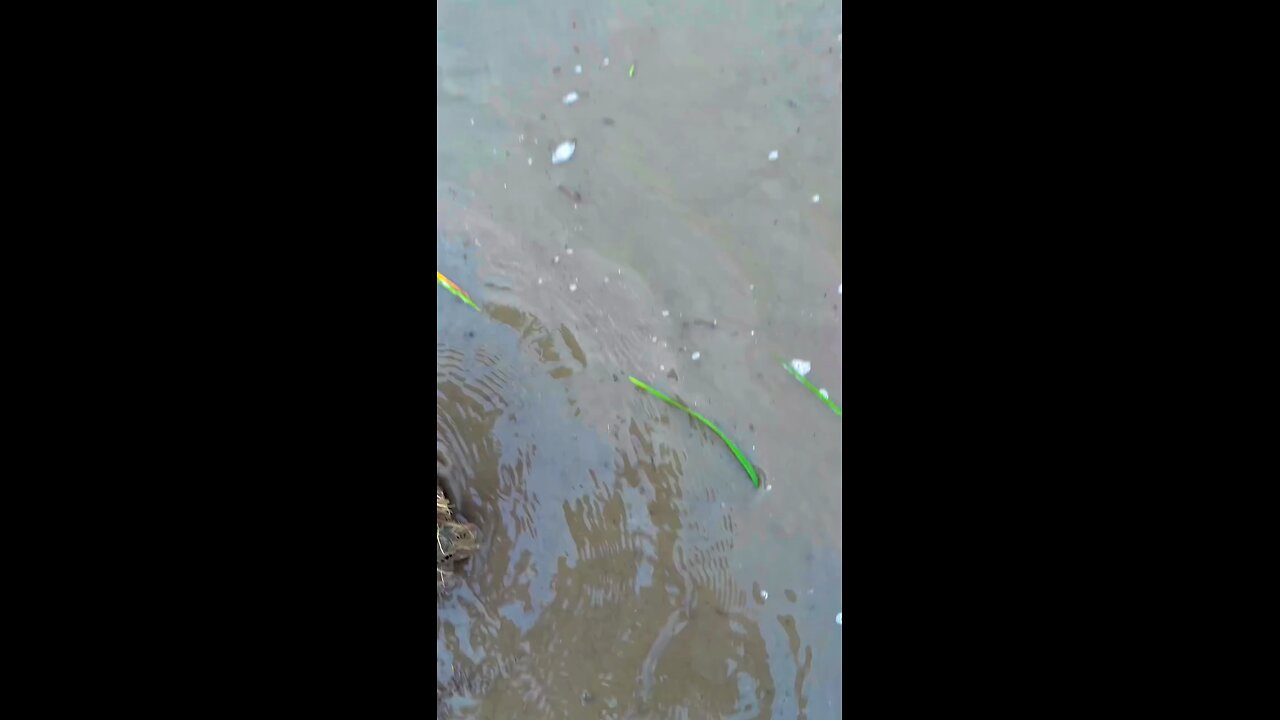 what to say about a wet smile#tranding #viral #1k view