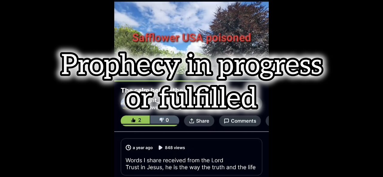 prophecy in progress or fulfilled