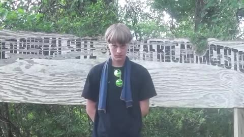 Dylann Roof's manifesto