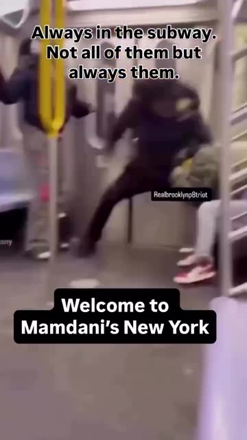 Black attempts murder of White child on train