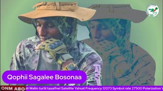 Qophii Sagalee Bosonaa ONM-ABO Sadaasa 1-2025 itti dhiyaadhaa!