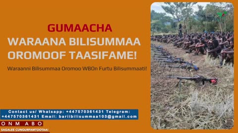 Gabaasa Gumaacha ONM-ABO Hagayya 12-2025 itti dhiyaadhaa!
