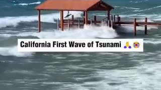 TSUNAMI WAVES HAVE OFFICIALLY REACHED THE CALIFORNIA COAST.