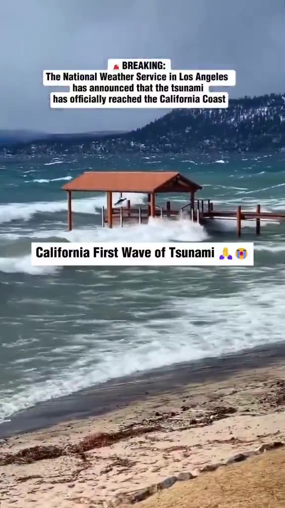 TSUNAMI WAVES HAVE OFFICIALLY REACHED THE CALIFORNIA COAST.