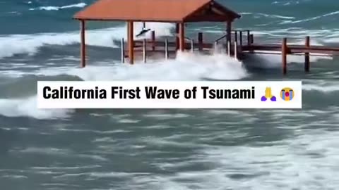 TSUNAMI WAVES HAVE OFFICIALLY REACHED THE CALIFORNIA COAST.