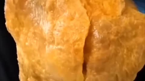 Inside Knee joint Bones