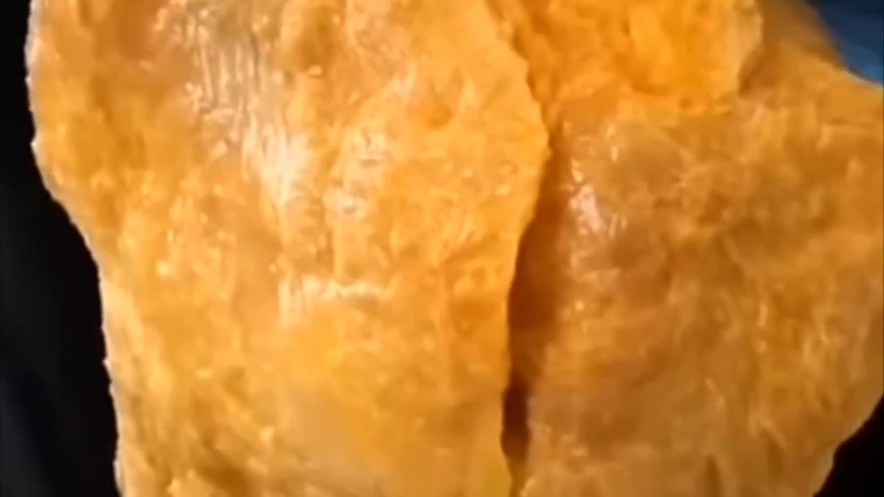 Inside Knee joint Bones
