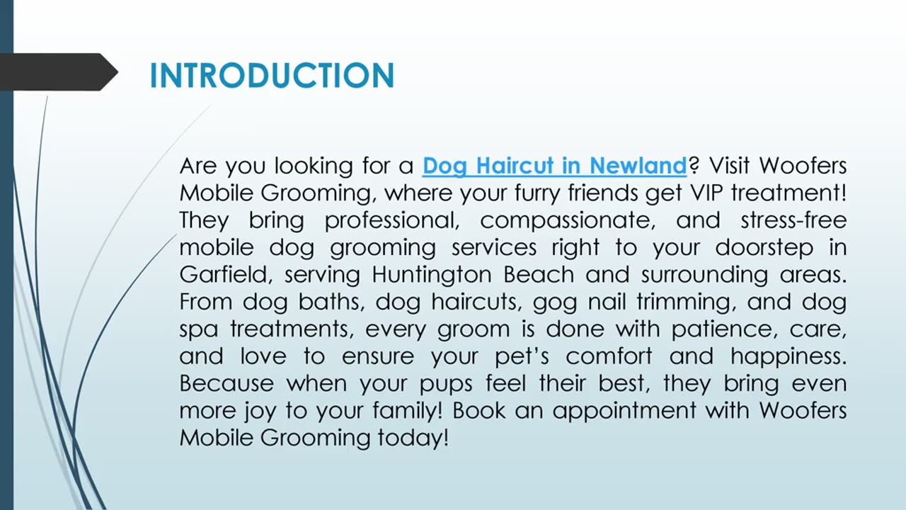 Are you looking for a Dog Spa in Newland?