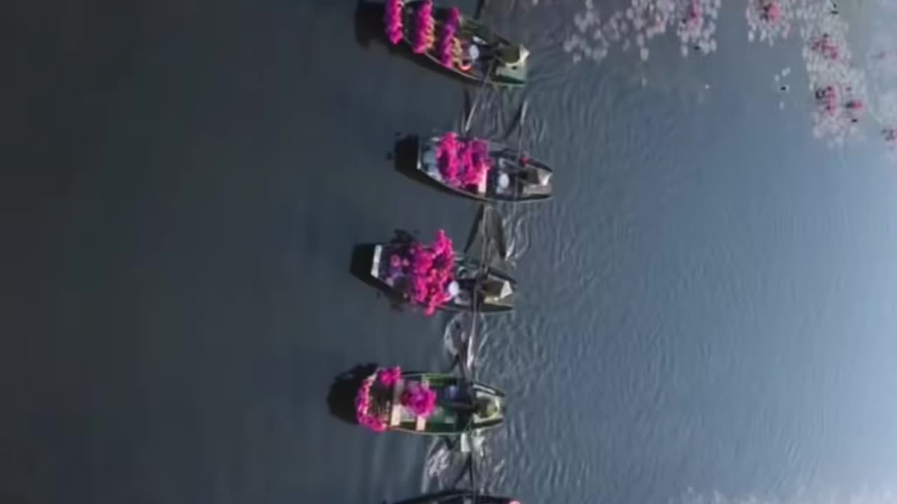 Surreal beauty in Vietnam (Part 5)