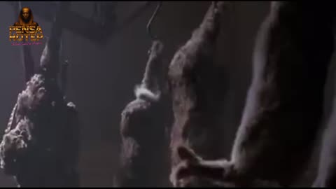 A Revolução dos Bichos George Orwell Dublado Pensa Hotep 1999