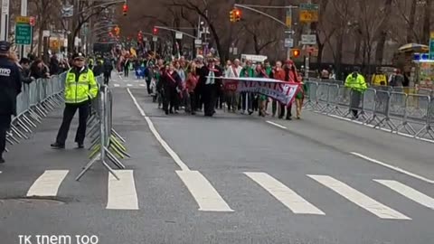 St Patricks Day Parade New York City Manhattan America USA Irish