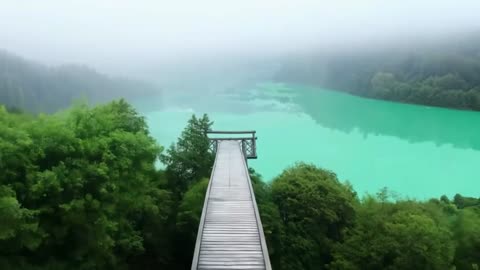 Music Therapy 🌿 Calming the Nervous System & Refreshing the Soul for Deep Relaxation