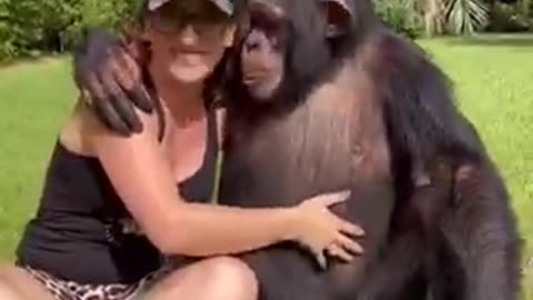 Monkey dance