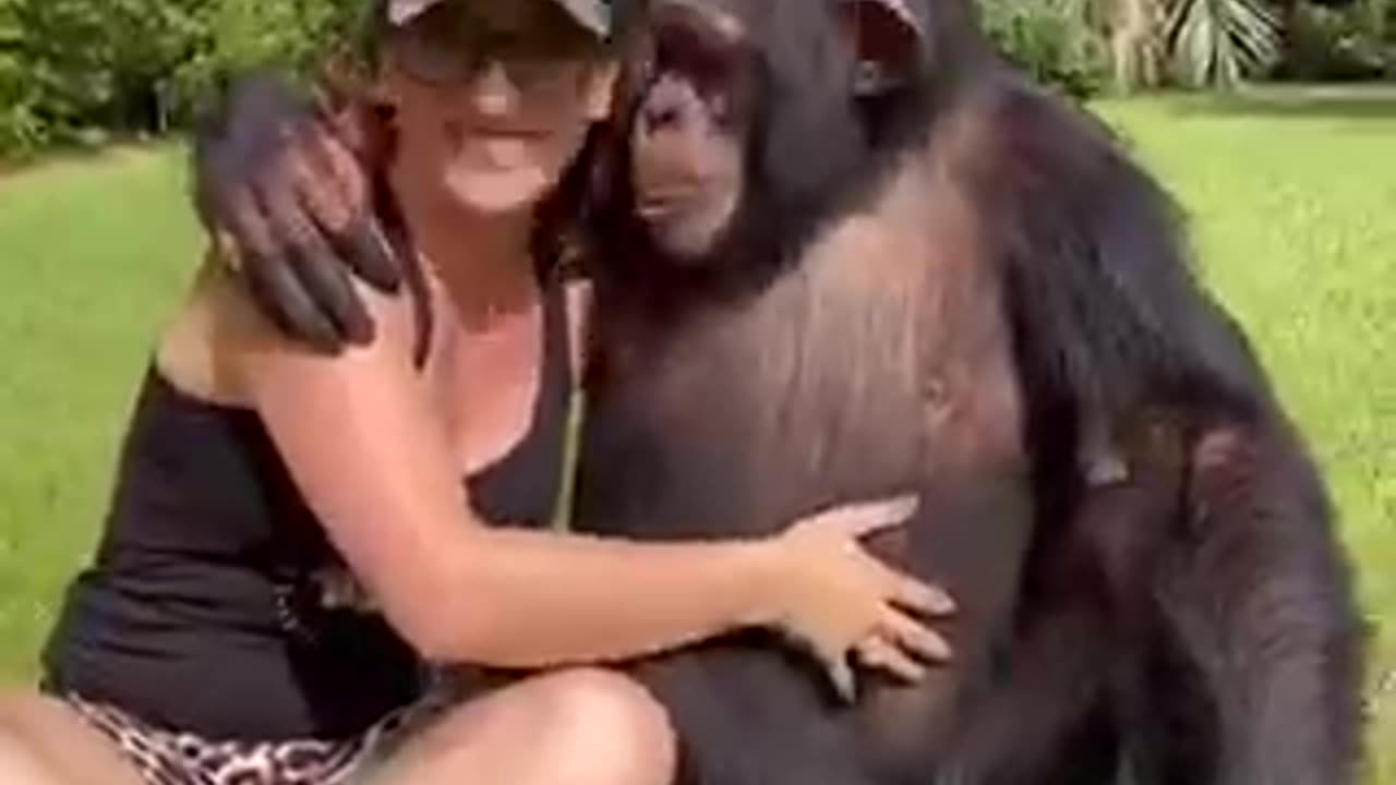Monkey dance