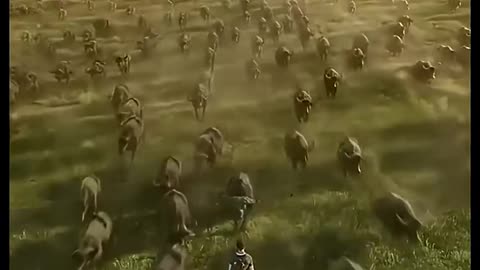 unseen protaction