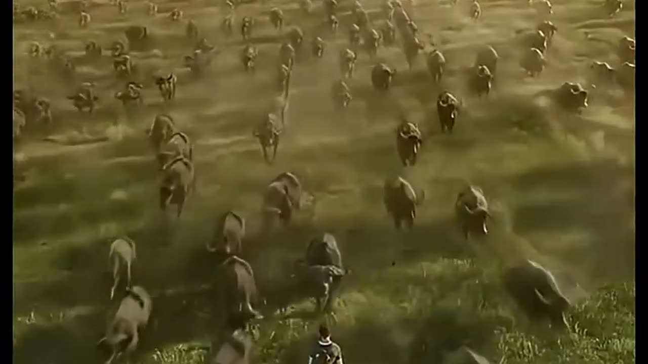 unseen protaction