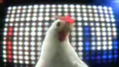 Chicken song