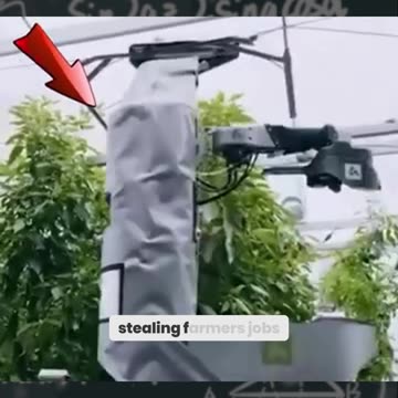 The Robot That Will Replace Farmers! Japan’s AI Crop Mastermind