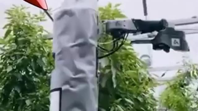 The Robot That Will Replace Farmers! Japan’s AI Crop Mastermind