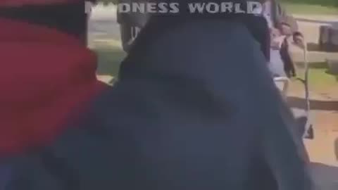 Dog Fighters