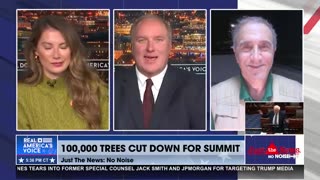 100,000 trees cut for UN Climate Summit highway