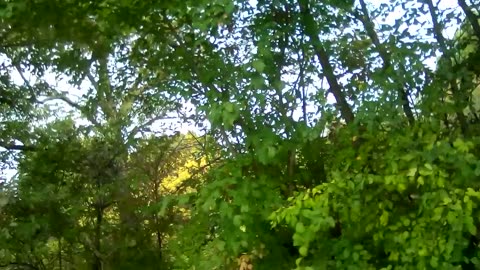 MCCONNELL PARK!! RENFREW ONTARIO!! ENJOY WALKING TOUR!! JULY, 25 ,2025!!(1080p)