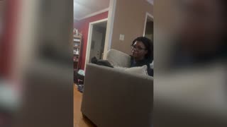 Woman spends ages looking for her cat only to realise it was sat right behind her