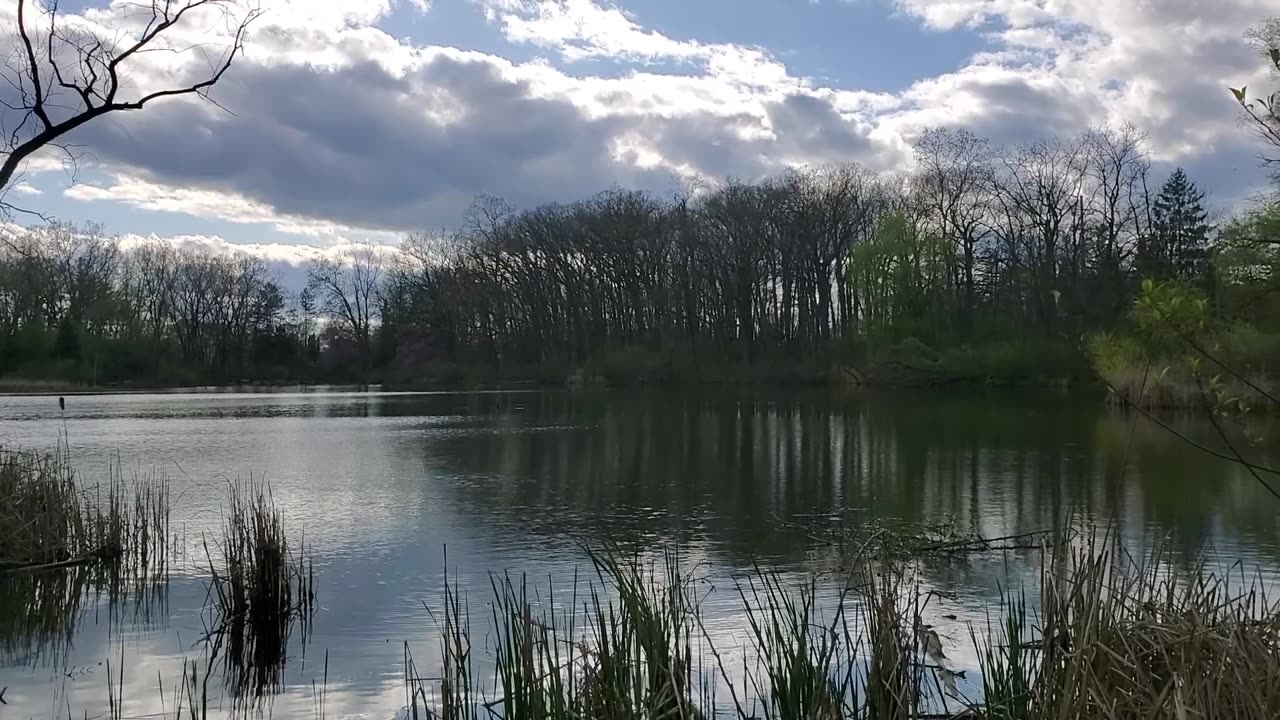 Neighborhood Pond at Sunset