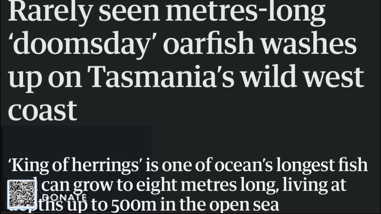 DOOMSDAY’ oarfish found on Tasmania's west coast
