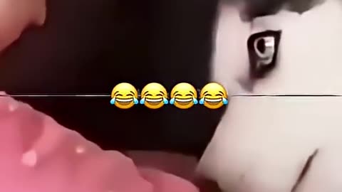 They got me talking 🐶 🤣🤣😊😊