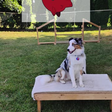 Platform Balance beam Hurdle short two