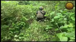 💥🌿 Myanmar War | Karenni Rebels Ambush Junta Position | RCF