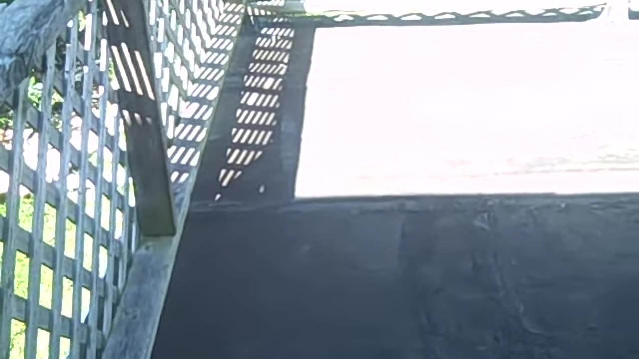 EWALD CIR_ THESHEASHOW.COM