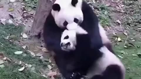 In a mother's eyes, her children never grow up