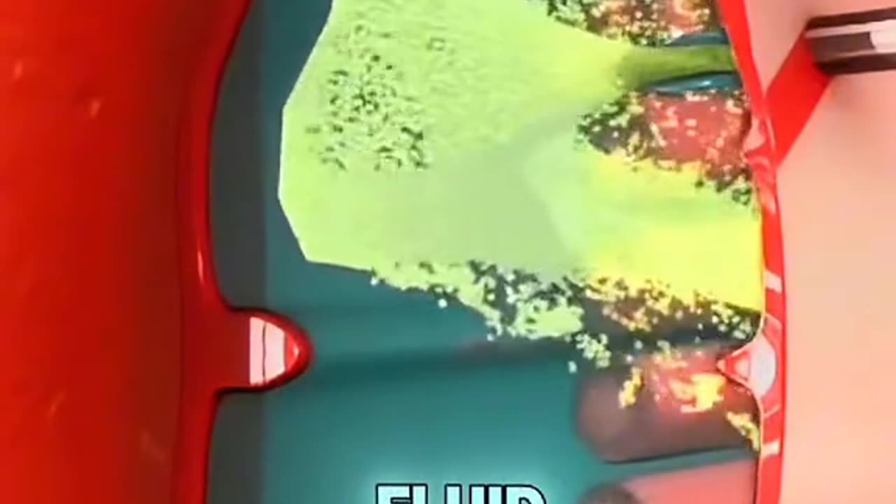 Induction of Spinal Anesthesia Step-by-Step Procedure Explained