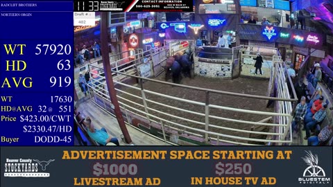 9/23/2025 - Calf & Yearling Auction- Beaver County Stockyards