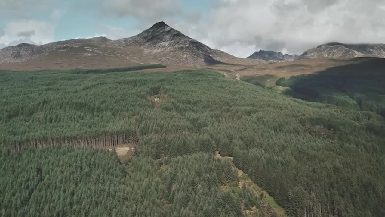 6.8.25: Generational Breaking in SILVER coin, 44 years in the making, Riots and Brunson case, Pray!