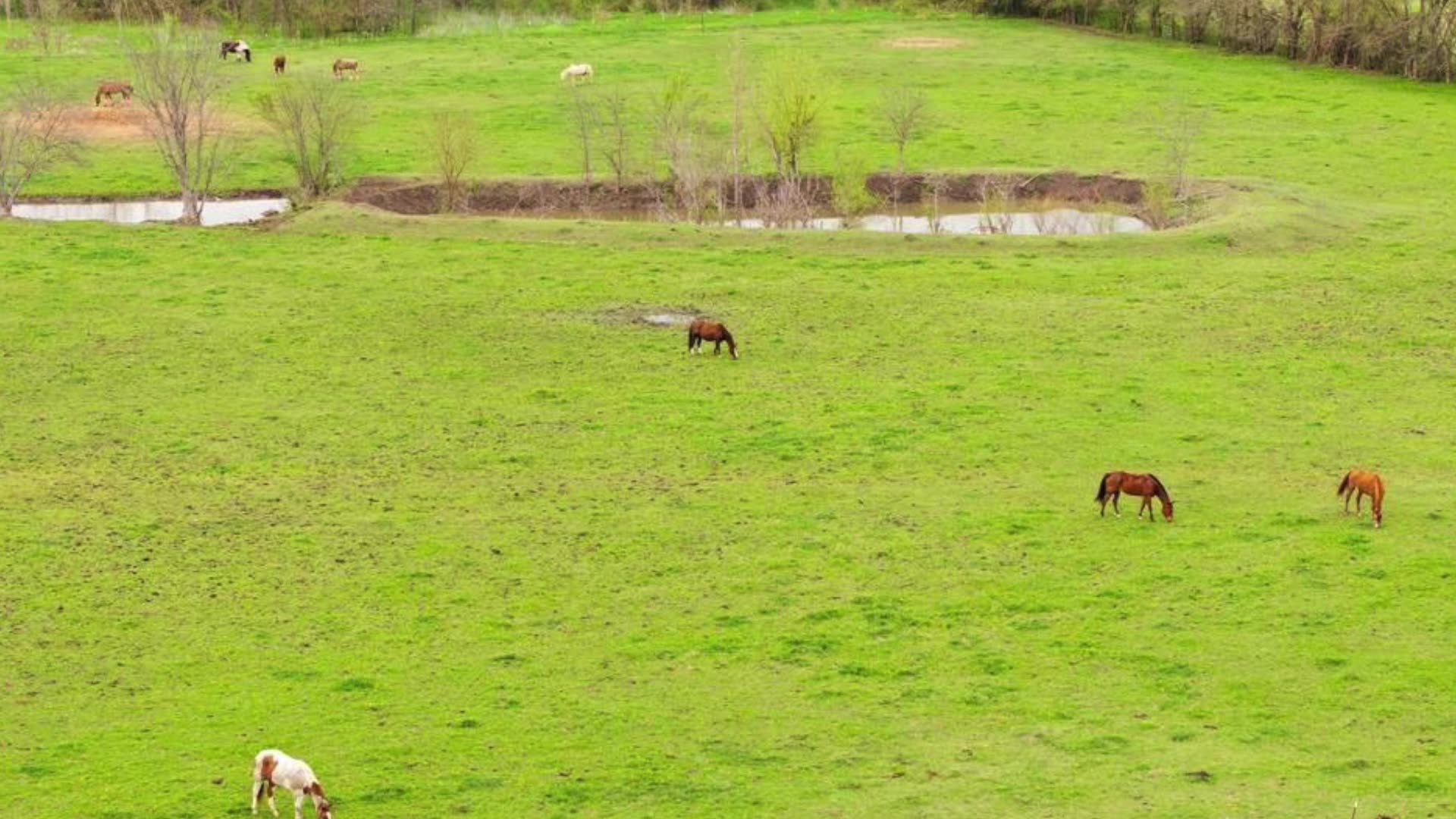 Family-Friendly Living: Homes Where Memories Are Made