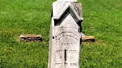 DERANGED HORRORS - VOL. 992: THE DEATH OF BELLE ANDREWS