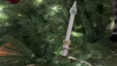 🐱🐶🎄 My Cat and Dog Tried Decorating the Christmas Tree… I Can’t Stop Laughing 😂✨