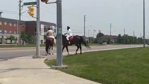 They have horses now in Brampton, Indiatario.