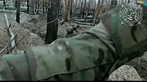 🔥🌲 Ukraine Russia War | Colombian Volunteers Fight Russian Forces in Serebryansky Forest | RCF