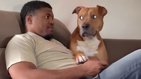 When Your Dog is the Funniest Family Member!