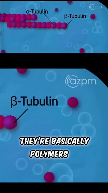 Consciousness: Brain or Universe? Quantum Physics Explains! #shorts