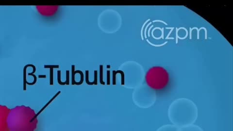 Consciousness: Brain or Universe? Quantum Physics Explains! #shorts