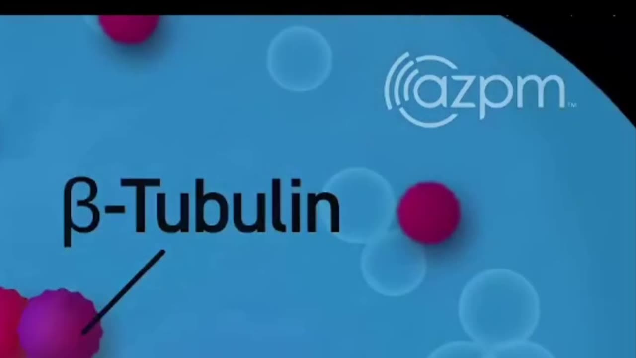 Consciousness: Brain or Universe? Quantum Physics Explains! #shorts