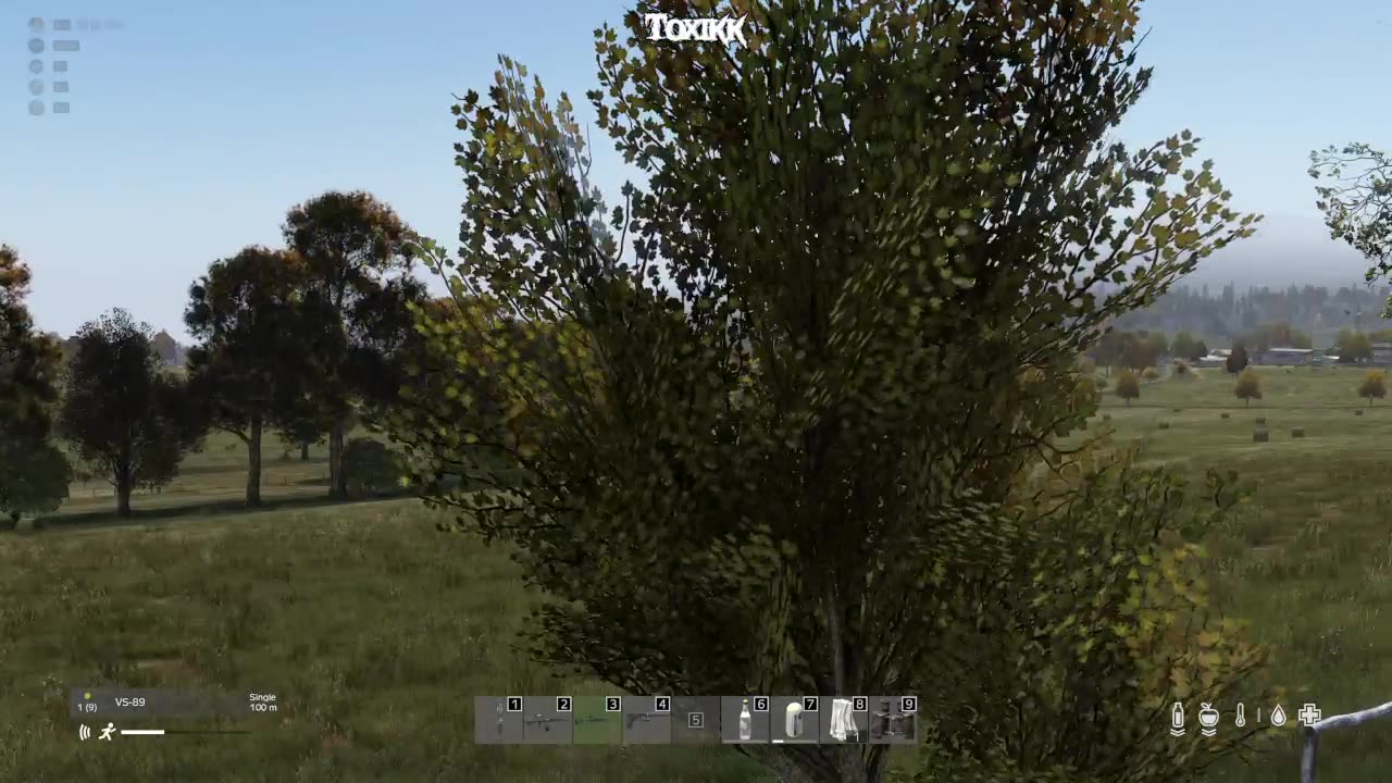 You know, I'm getting kinda tired. I could use a foot massage myself. (DayZ)